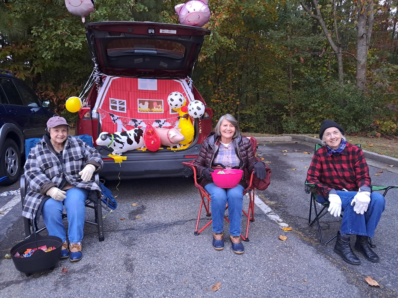 Trunk or Treat and cows 