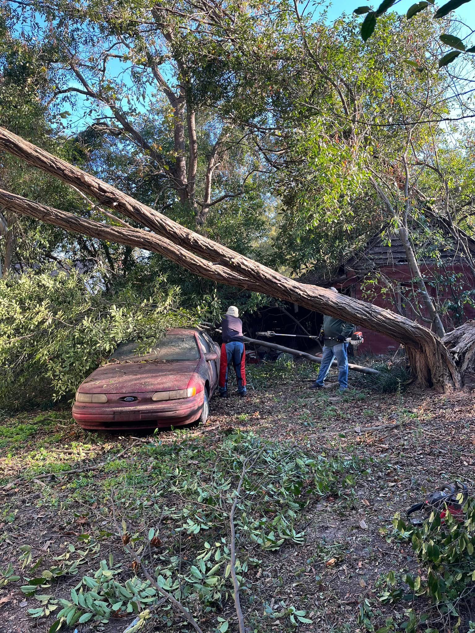 Hurricane Helena Cleanup