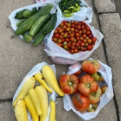 Garden Fall Harvest 2